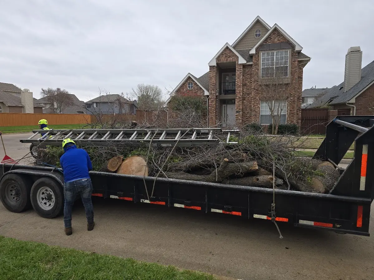 Expert Tree Fertilization with proper safety equipment in Falkland